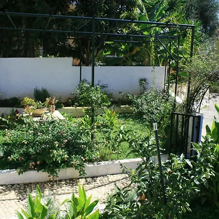 Apartment Fotini's House *